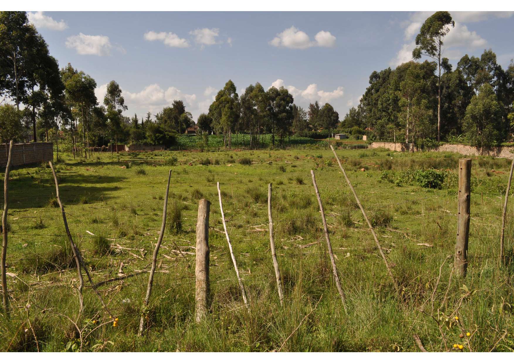 Open residential land at the Elgon View project in Eldoret, Kenya
