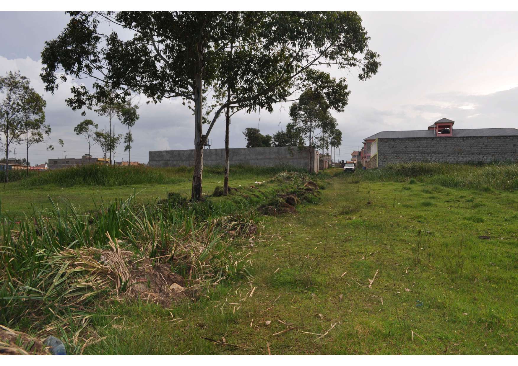 Open residential plot with mature trees at Kimumu, Eldoret