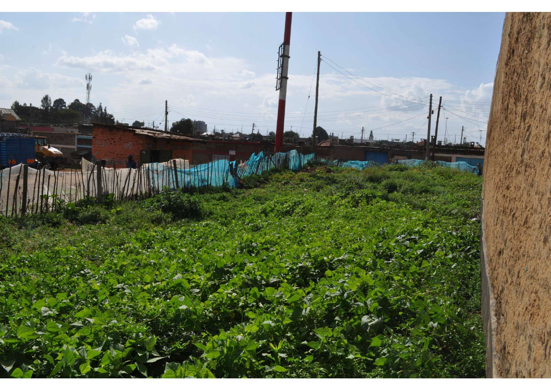 Eighth-acre residential plot at Mwanzo, Eldoret